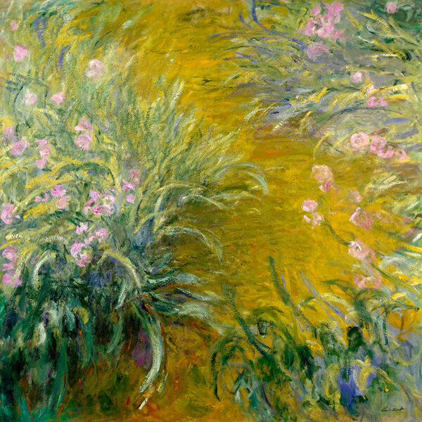 The Path through the Irises