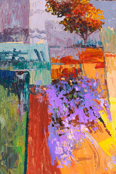 Colore dei campi I